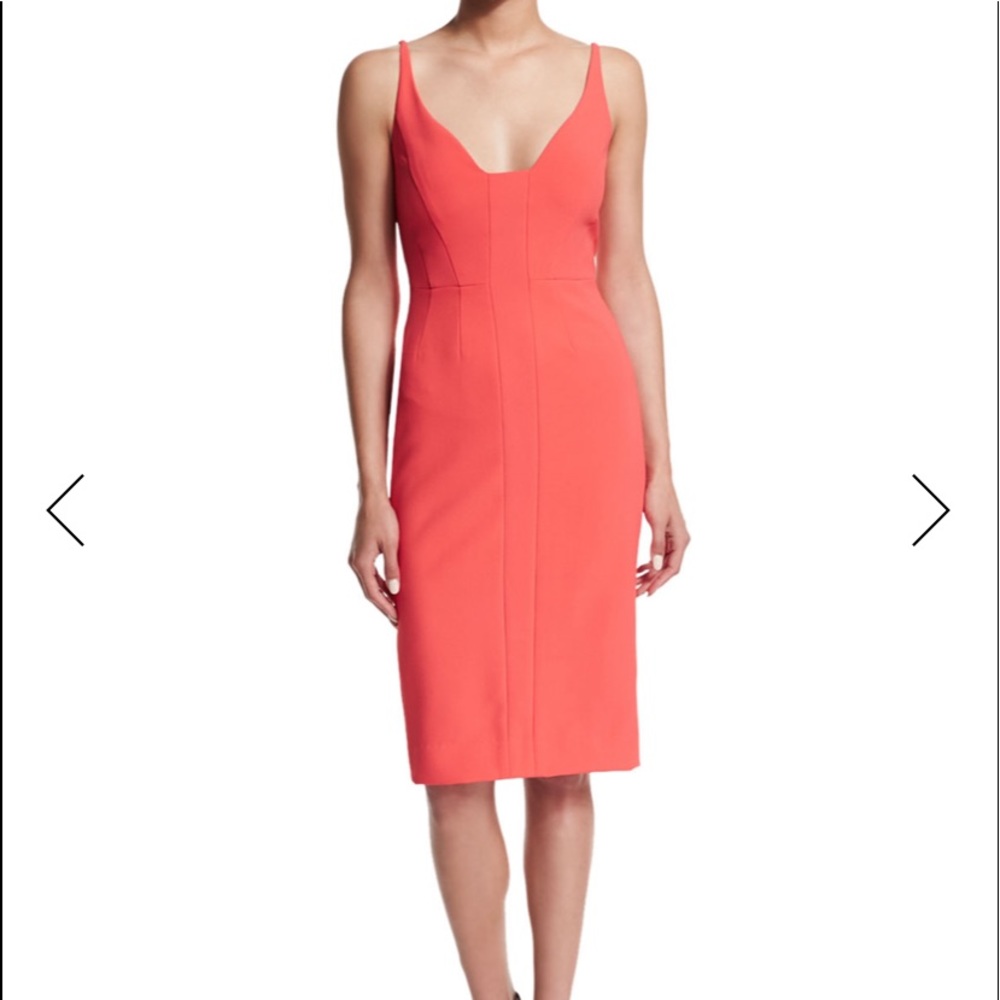 Narciso Rodriguez dress